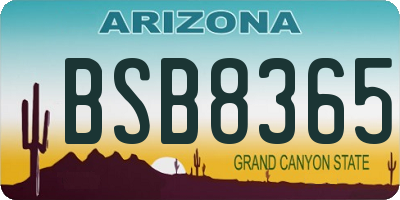AZ license plate BSB8365