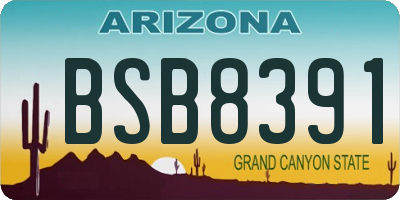 AZ license plate BSB8391