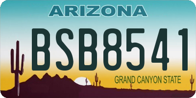 AZ license plate BSB8541