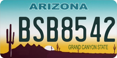 AZ license plate BSB8542