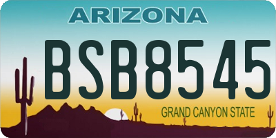 AZ license plate BSB8545