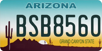 AZ license plate BSB8560