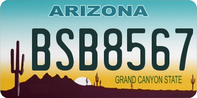 AZ license plate BSB8567
