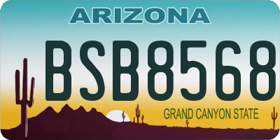 AZ license plate BSB8568