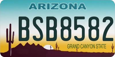 AZ license plate BSB8582