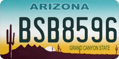 AZ license plate BSB8596
