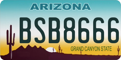 AZ license plate BSB8666
