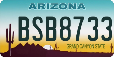 AZ license plate BSB8733