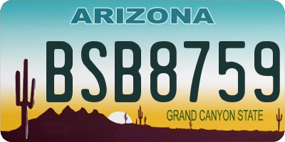 AZ license plate BSB8759