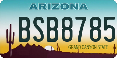 AZ license plate BSB8785