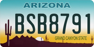 AZ license plate BSB8791
