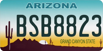 AZ license plate BSB8823