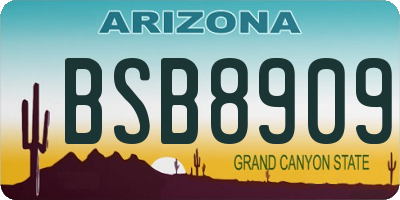 AZ license plate BSB8909