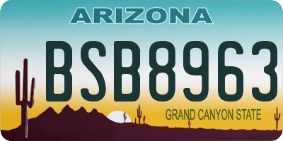 AZ license plate BSB8963