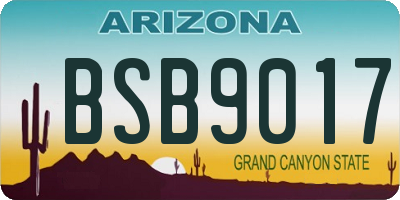 AZ license plate BSB9017