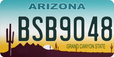 AZ license plate BSB9048