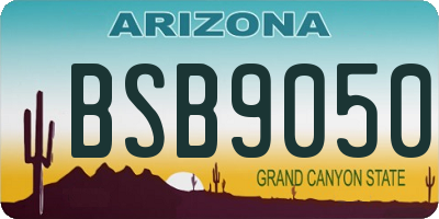 AZ license plate BSB9050
