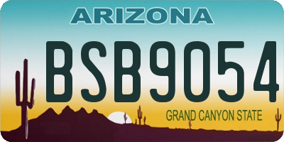 AZ license plate BSB9054