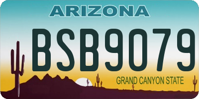 AZ license plate BSB9079