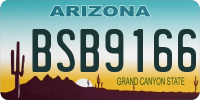AZ license plate BSB9166