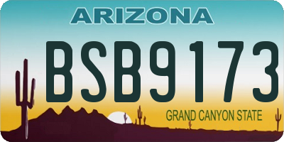 AZ license plate BSB9173
