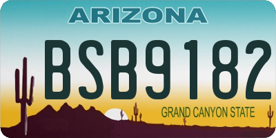 AZ license plate BSB9182