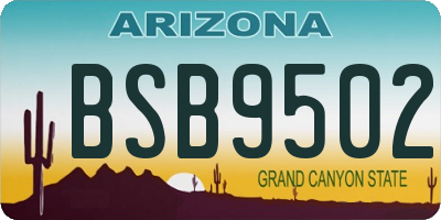 AZ license plate BSB9502