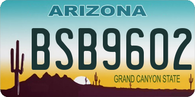 AZ license plate BSB9602