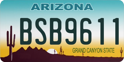 AZ license plate BSB9611