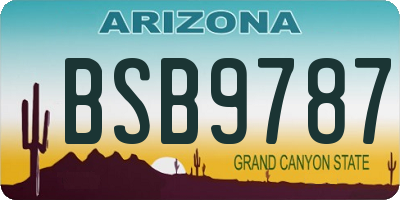 AZ license plate BSB9787
