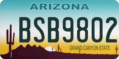 AZ license plate BSB9802
