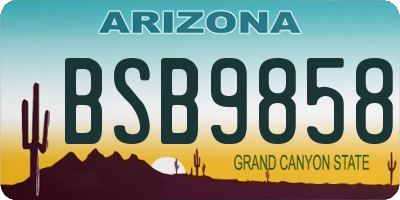AZ license plate BSB9858