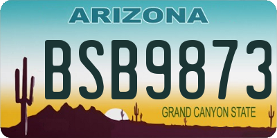 AZ license plate BSB9873