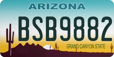 AZ license plate BSB9882