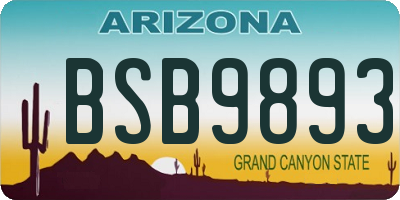 AZ license plate BSB9893