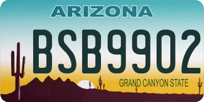 AZ license plate BSB9902