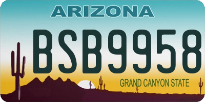 AZ license plate BSB9958