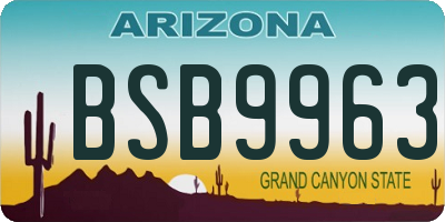 AZ license plate BSB9963