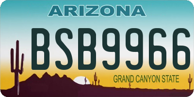 AZ license plate BSB9966