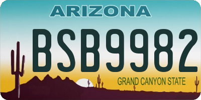 AZ license plate BSB9982
