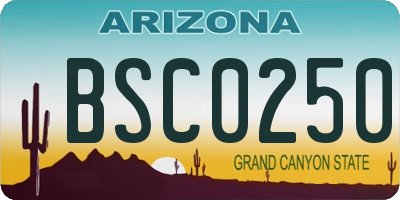 AZ license plate BSC0250