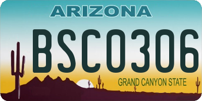 AZ license plate BSC0306