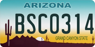 AZ license plate BSC0314