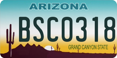 AZ license plate BSC0318