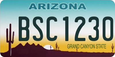 AZ license plate BSC1230