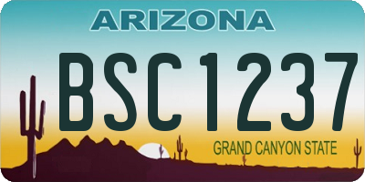 AZ license plate BSC1237