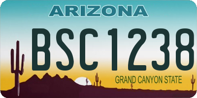 AZ license plate BSC1238