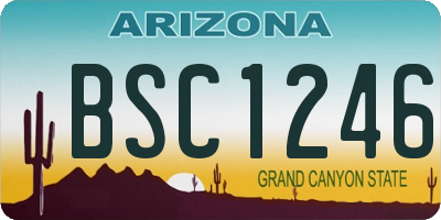 AZ license plate BSC1246