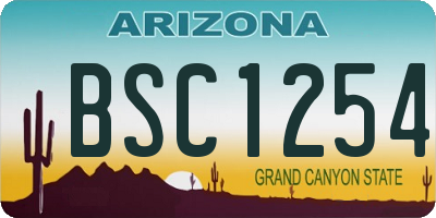 AZ license plate BSC1254
