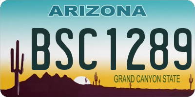 AZ license plate BSC1289